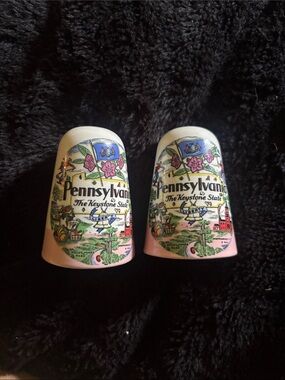 Cottagecore Pennsylvania vintage, Pink Ceramic Souvenir Salt and Pepper shakers